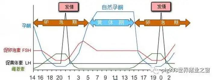 激素|史上最奇葩投毒案，雷到你了没？