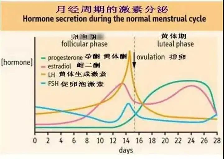 激素|史上最奇葩投毒案，雷到你了没？