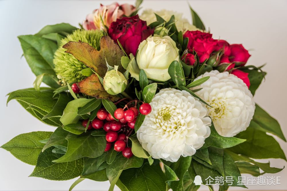 3月4日星座运势 把握时机 乘势而上的四大星座 腾讯新闻