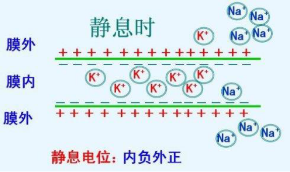 【健康知识】睡到一半总会突然被自己"抽"醒?