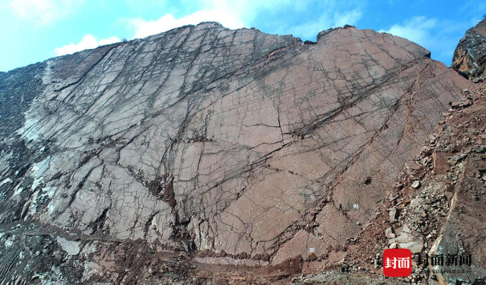 恐龙|古生物学家确认：中国最大恐龙足迹点位于四川凉山 面积超9000平方米