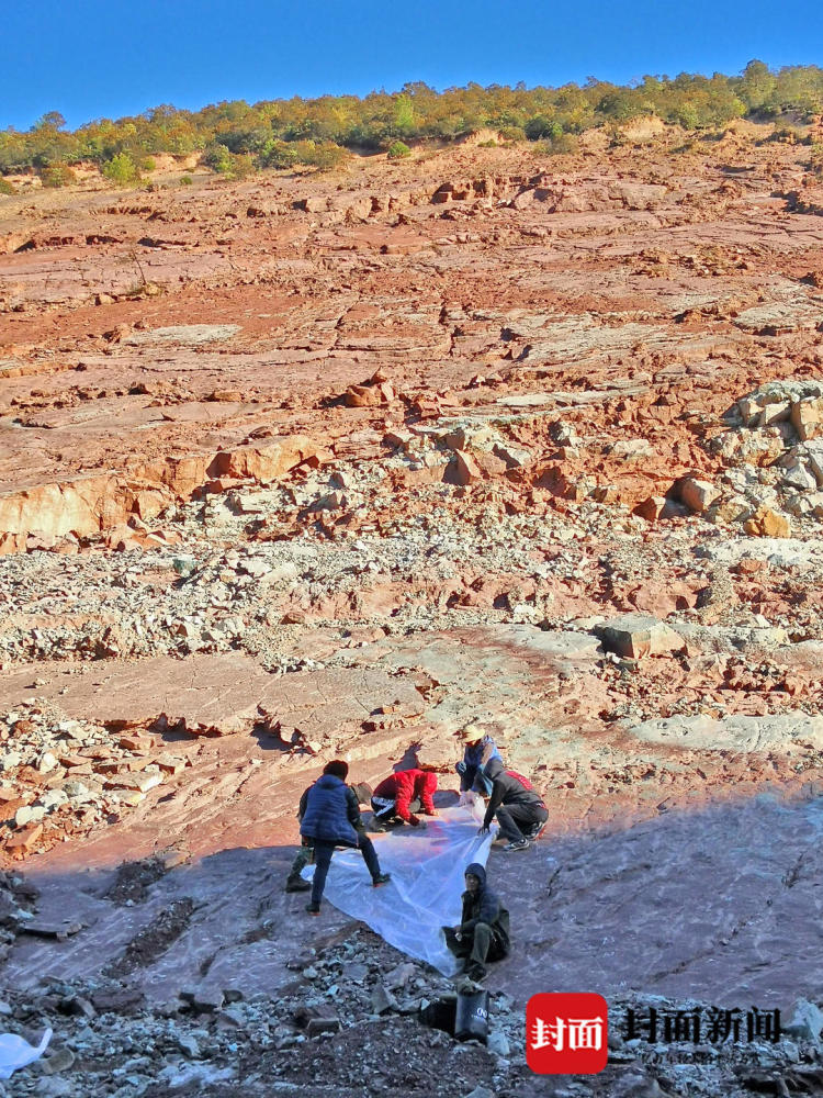 恐龙|古生物学家确认：中国最大恐龙足迹点位于四川凉山 面积超9000平方米