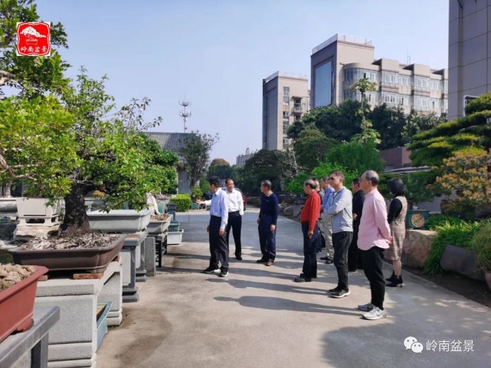 广东园林学会盆景赏石专业委员会主任主任谢荣耀为东莞竹溪园林主持