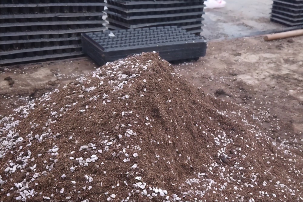 蚯蚓粪|这种粪火了，不死棵不烂苗还高产！很多农民还不知道！快看看吧