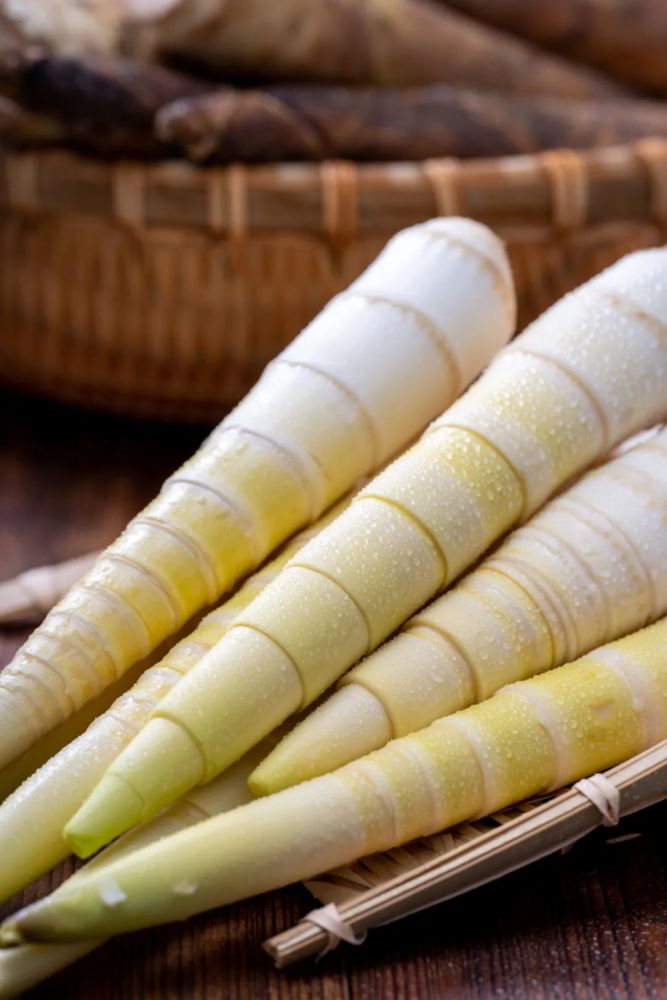 为什么吃过临安雷笋的人都对它念念不忘