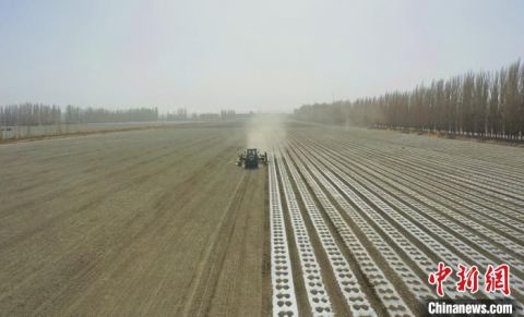 新疆|新疆焉耆垦区辣椒铺膜开启 北斗卫星定位效率高