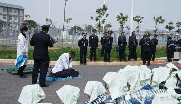 坐牢舒服吗罪犯都在监狱里干什么一名刑满释放人员的自述