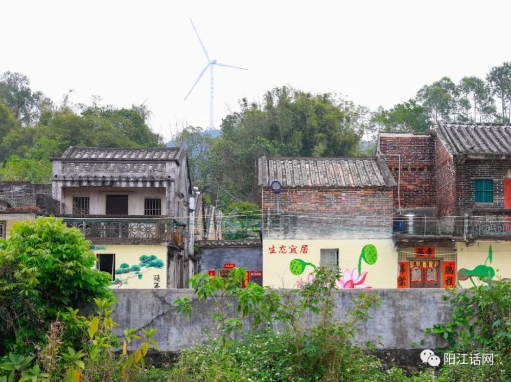 禾雀花欣赏名地-阳江市新洲镇禾叉坳村禾雀花美景_腾讯新闻