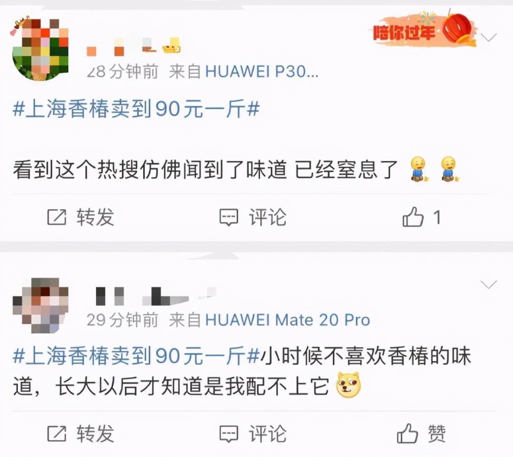 香椿芽|90元一斤的最贵蔬菜冲上热搜！网友却吵了起来