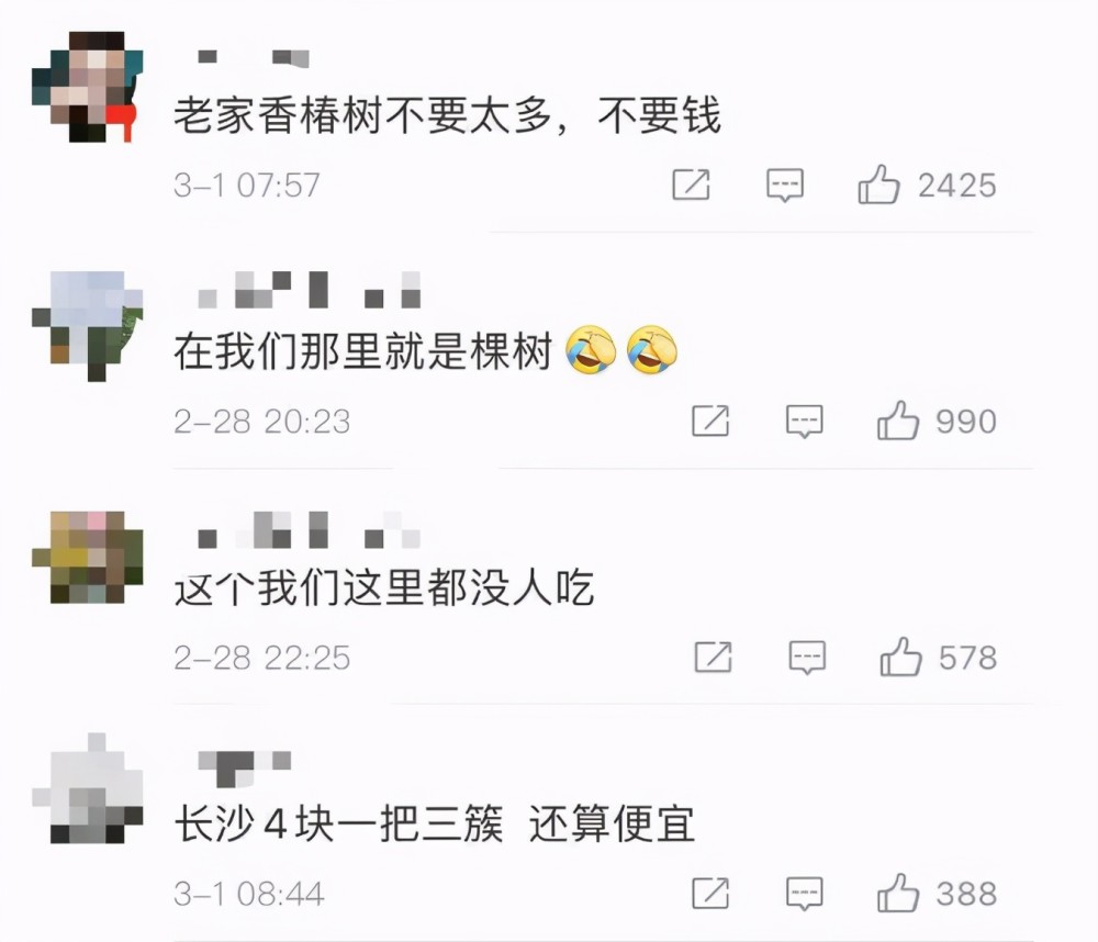 香椿芽|90元一斤的最贵蔬菜冲上热搜！网友却吵了起来