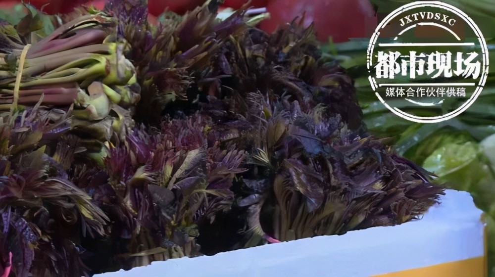 香椿芽|90元一斤的最贵蔬菜冲上热搜！网友却吵了起来