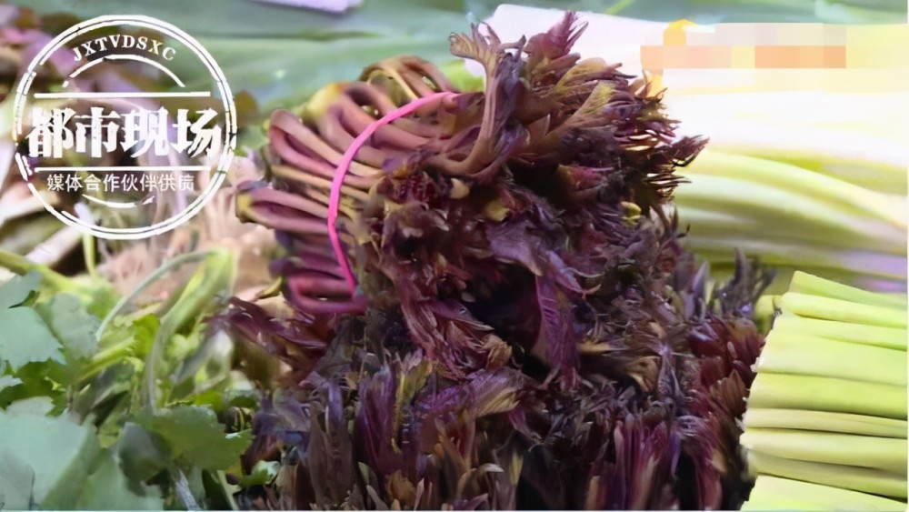 香椿芽|90元一斤的最贵蔬菜冲上热搜！网友却吵了起来