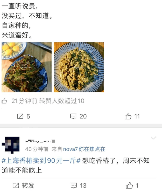 香椿芽|90元一斤的最贵蔬菜冲上热搜！网友却吵了起来