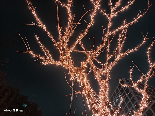 天玑1100 拍照玩出花 vivo s9全面评测