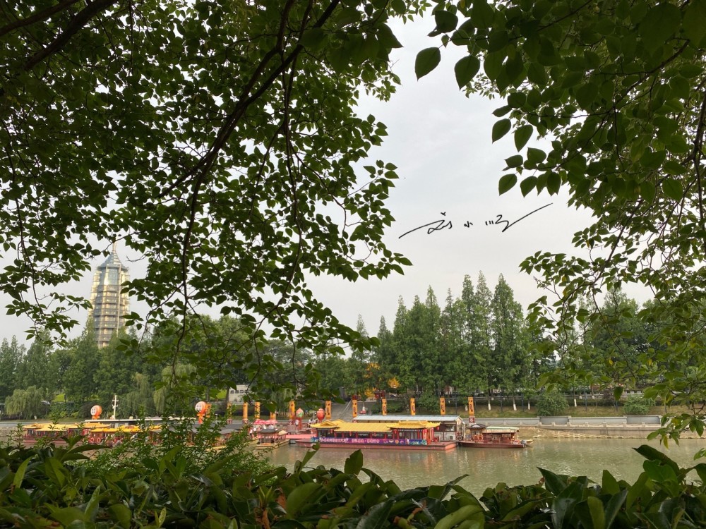 华东gdp_等待台湾-华东七省一市兄弟群的2021年GDP数据