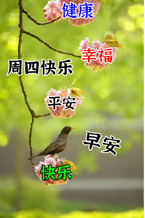 2021年9月9日星期四漂亮早上好问候动态表情图片带字 周四最美早安