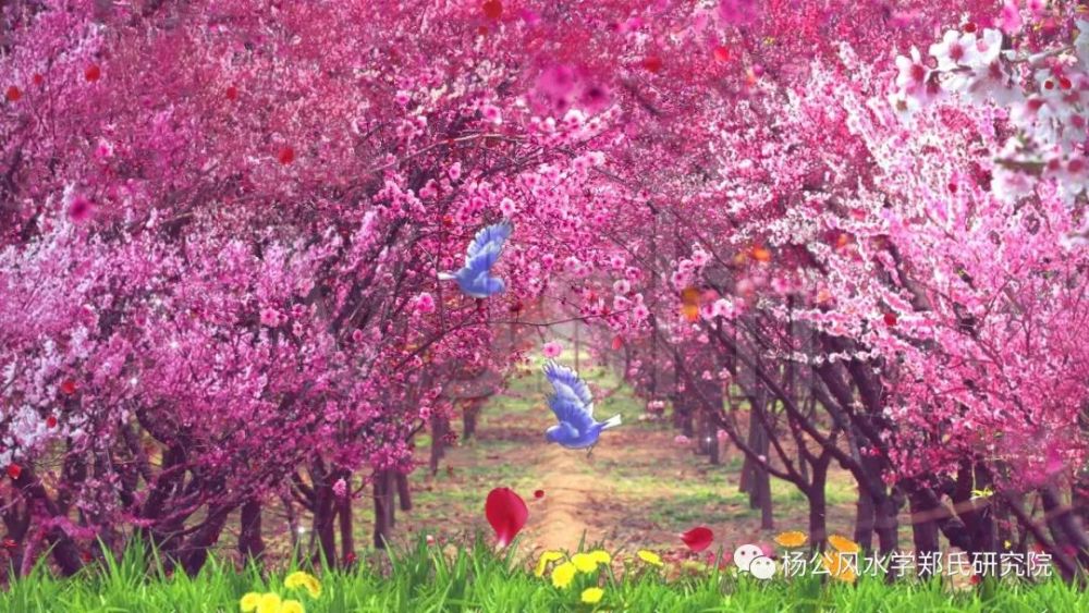 会让你失恋的风水有哪些 腾讯新闻