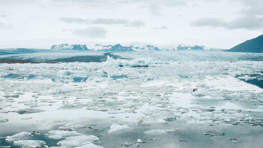 地球|南极出大事了，一条裂缝横贯整个大陆，这一幕在地球上已多年未见