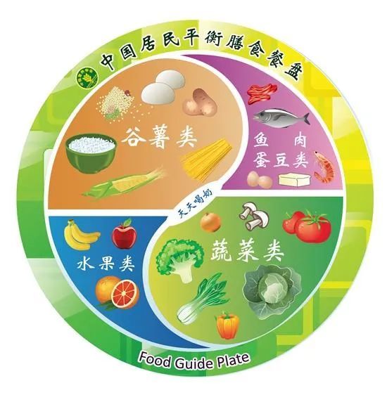 营养素(营养素对人体的作用)