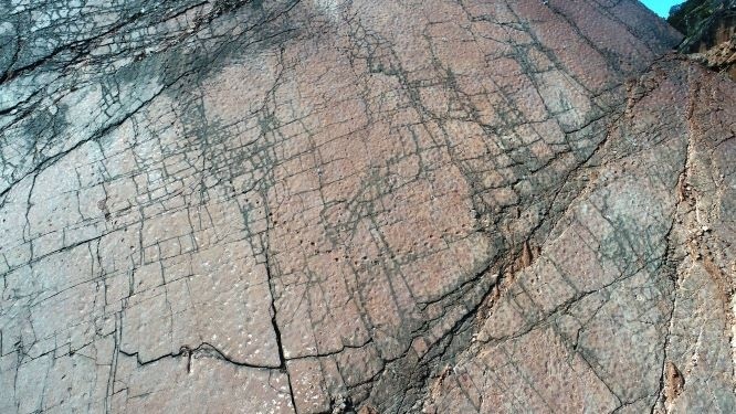 恐龙|逾9000平方米、至少933个足迹，中国最大恐龙足迹点现身四川峭壁