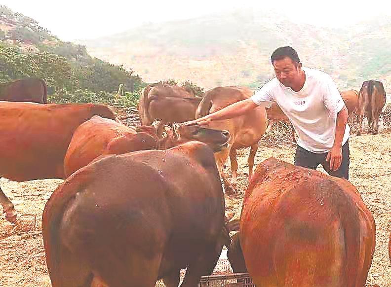 漳州牛人牛事牛日子