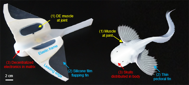 马里亚纳海沟|登上《自然》封面！浙大团队成功“打卡”马里亚纳海沟