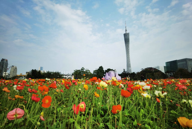 宏城公園位於廣州二沙島晴波路,其實就在海心沙旁邊,廣州最高建築