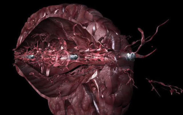 子弹对身体的核心伤害来源就是所产生的"空腔效应"还有动能,你只需要