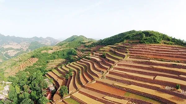 春到河南,河南的那些梯田风光,分分钟把你迷倒