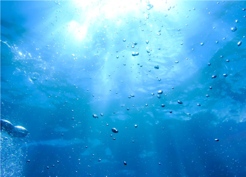 一旦我们下潜至海底1000米深以后,我们就会进入海洋的深层带