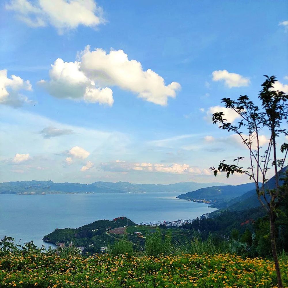 風和日麗,天氣晴朗,來撫仙湖畔看看初春的風景,撫仙湖畔風景最宜人