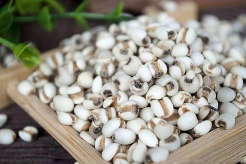 薏米|肠胃不好的人要注意了，薏米粗纤维多要少吃