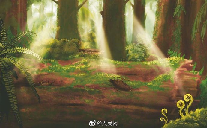 蟑螂|【3月4日】神评论：偷油婆的亲戚还是偷油婆