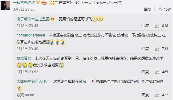 蟑螂|【3月4日】神评论：偷油婆的亲戚还是偷油婆