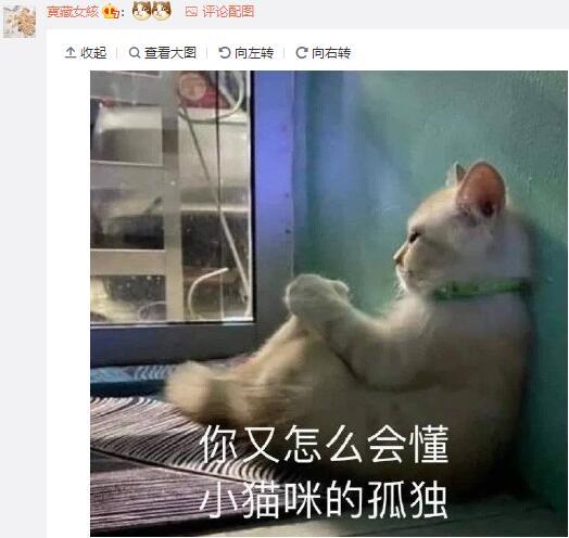 蟑螂|【3月4日】神评论：偷油婆的亲戚还是偷油婆