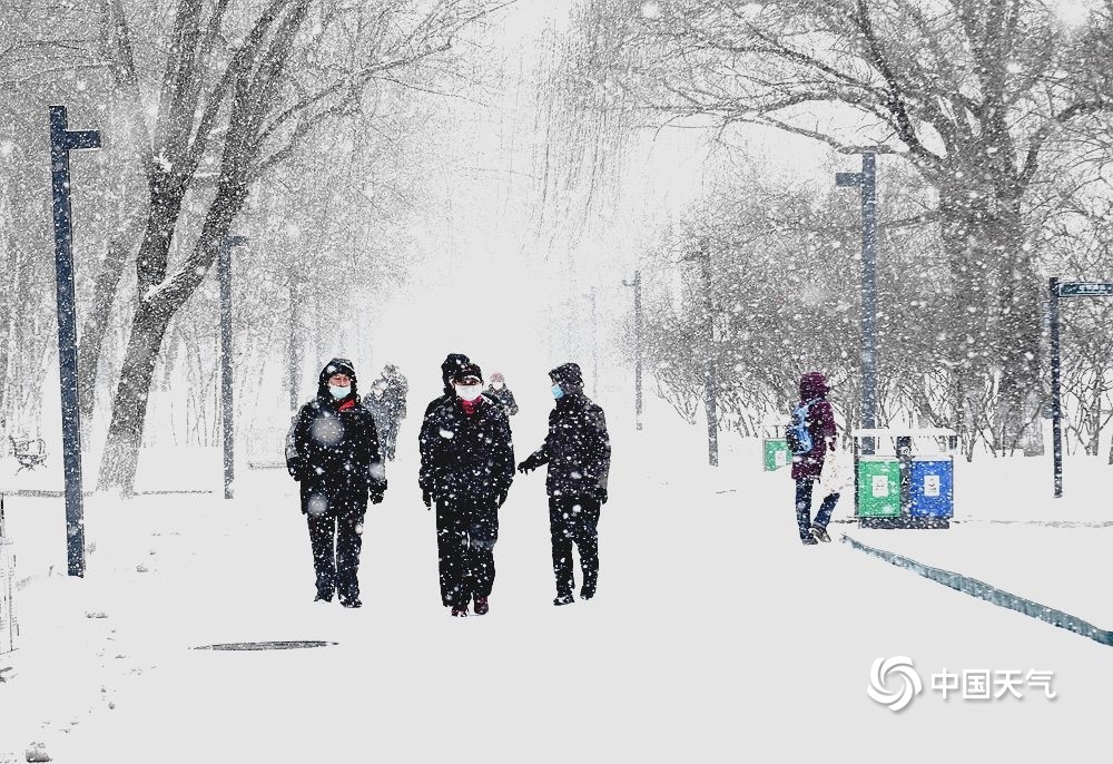 大雪纷飞!哈尔滨天地浑然一体 市民冒雪出行_腾讯新闻