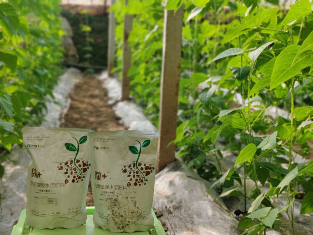 腐植酸|含腐植酸水溶肥是什么？为什么都说它的效果好？