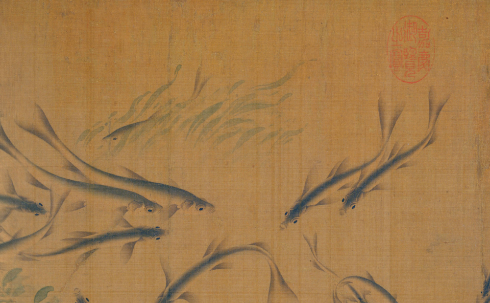 这套青鱼在周围一群小青条之间显得格外硕大.