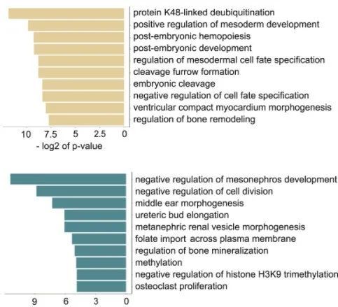 叶酸|新研究发现：备孕男性也需要补充叶酸，有利于新生儿的健康
