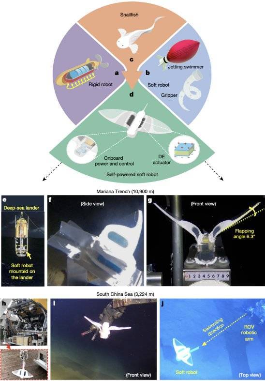 软体机器人|浙大软体机器人，为何能在万米深海运动自如？