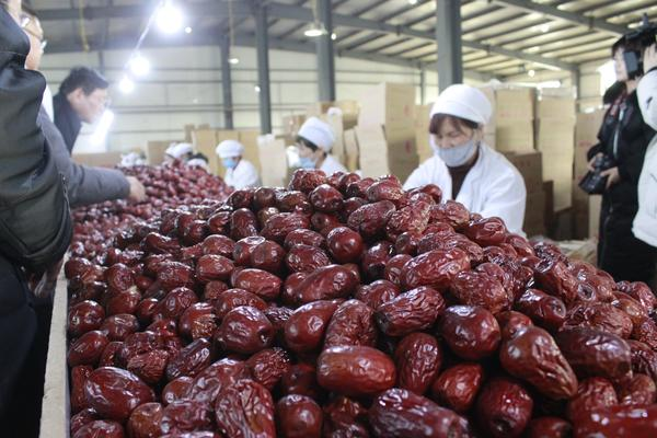 红枣|枣中贵族-昆仑山和田玉枣