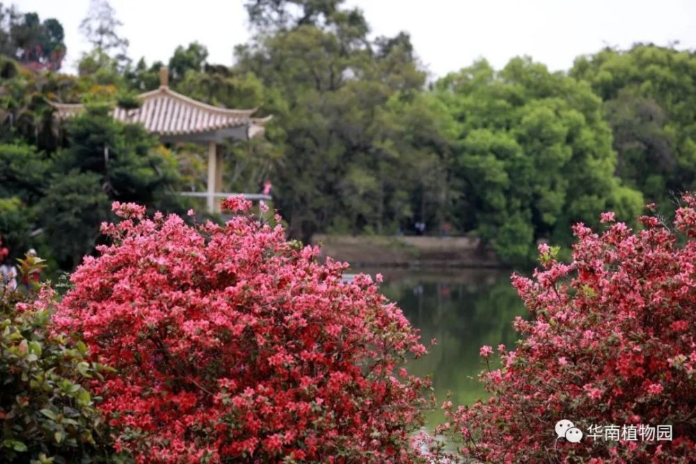 广东|投票啦！广东省十佳科普教育基地评选活动启动，你心水的是哪个？