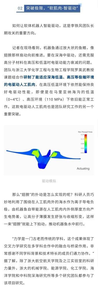 之江实验室|一条鱼带来的灵感！之江实验室与浙大团队研究成果登上《自然》封面！