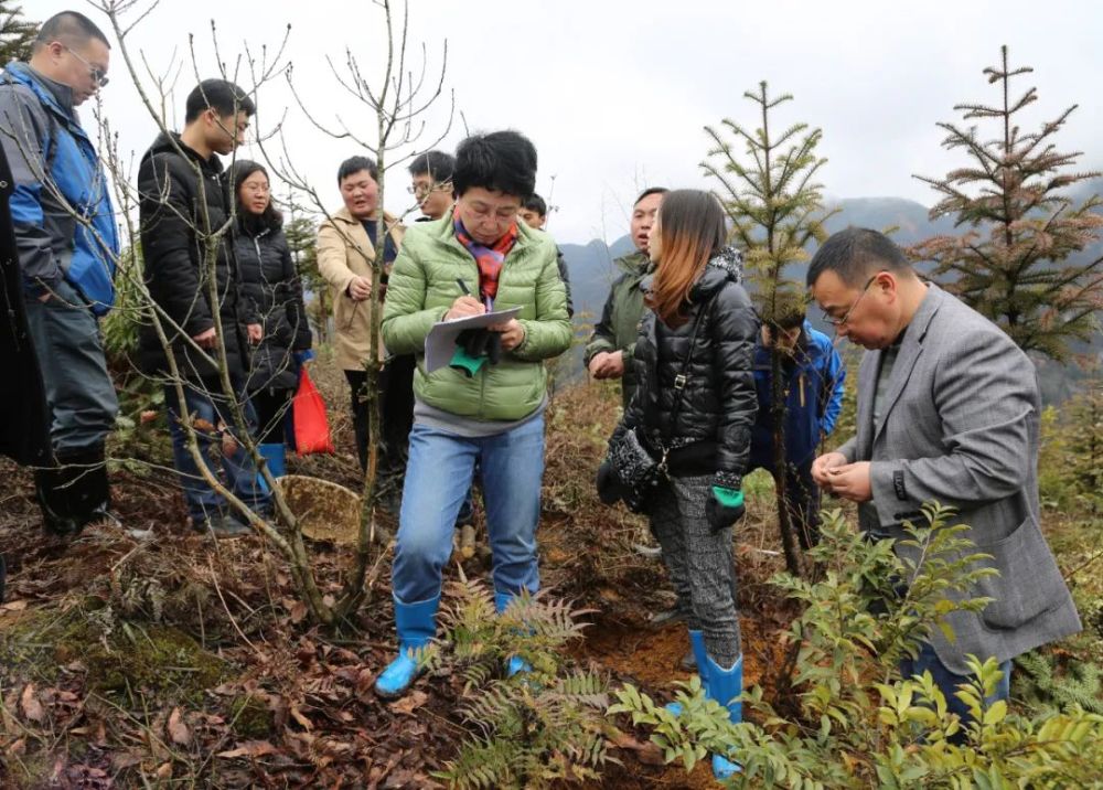 兰进|兰进：心若芝兰，予人芬芳