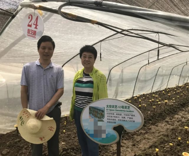 兰进|兰进：心若芝兰，予人芬芳