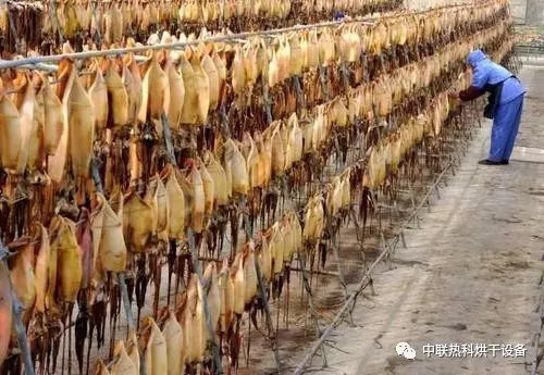 鱿鱼|你爱吃的休闲零食—手撕大鱿鱼是如何诞生的？