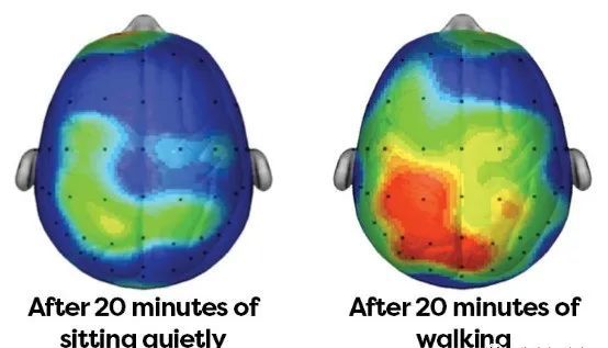 临床实践|抗阻训练研究：急临床实践所急