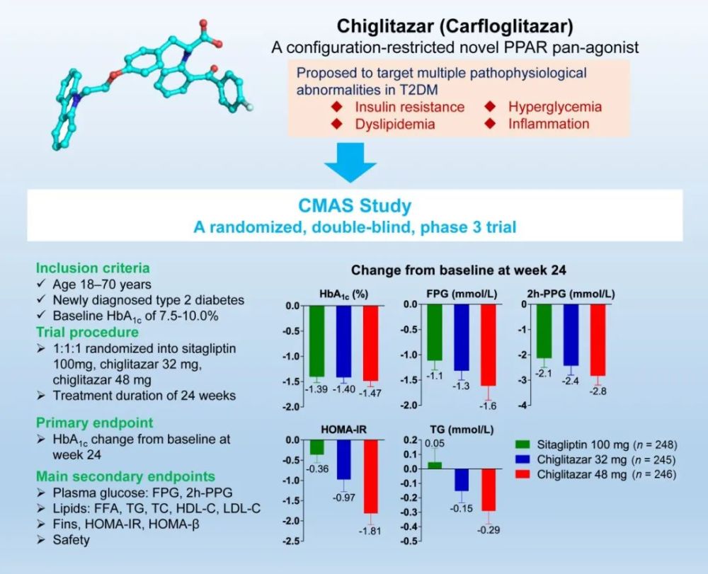 cmas 研究概況及主要研究結果