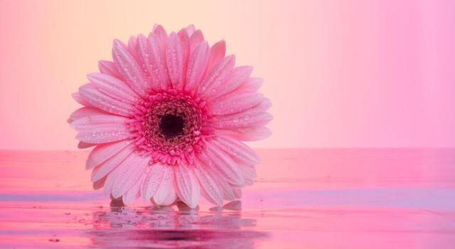 这三大生肖明天3月4日过后 必有好运来 发横财富贵多金 一生荣华富贵 腾讯新闻