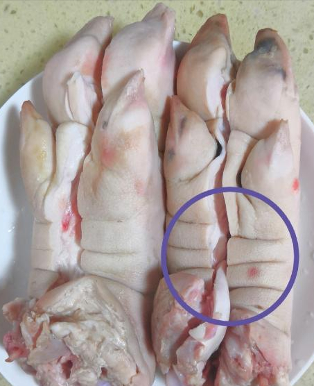 买猪蹄时要分清前蹄和后蹄差别很大弄懂再买少花冤枉钱